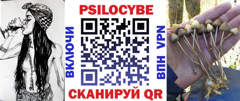 Псилоцибиновые грибы MAGIC MUSHROOMS  Курчалой 