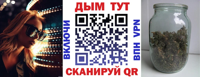 Конопля OG Kush  Курчалой 
